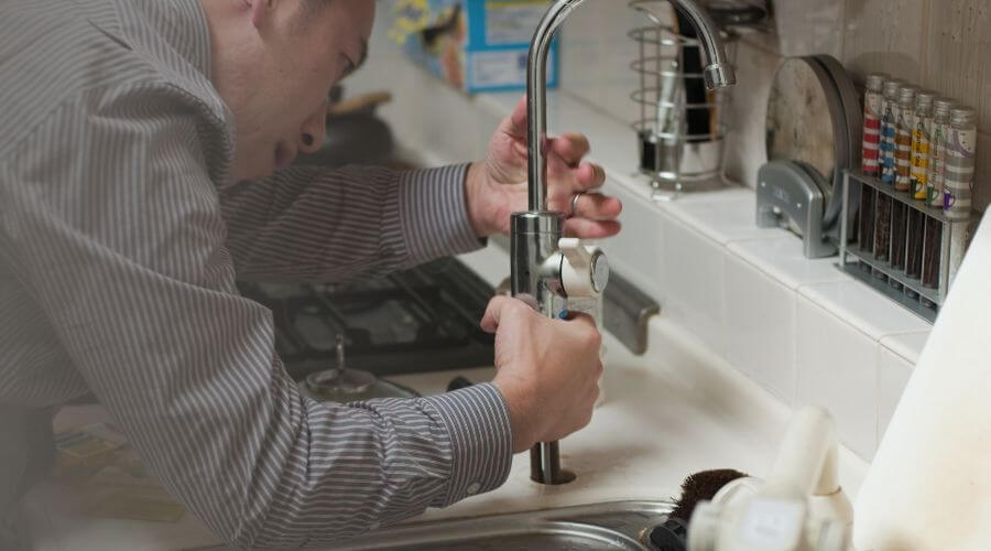 Professional Leak Detection Services in Vanleer, TN
